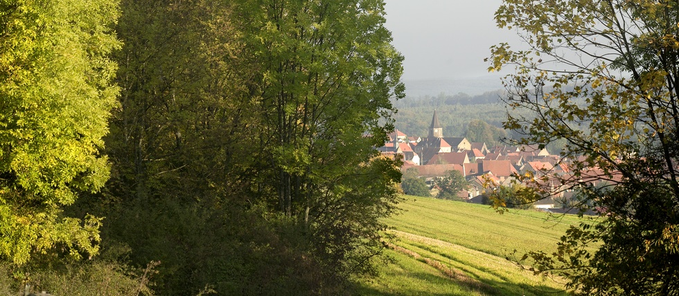 L'Alsace Bossue, terre de refuge Huguenote