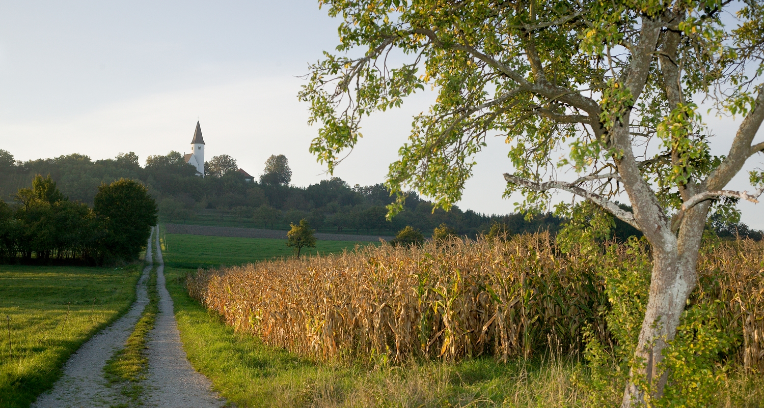 Kapelle auf dem Kirchberg in Berg