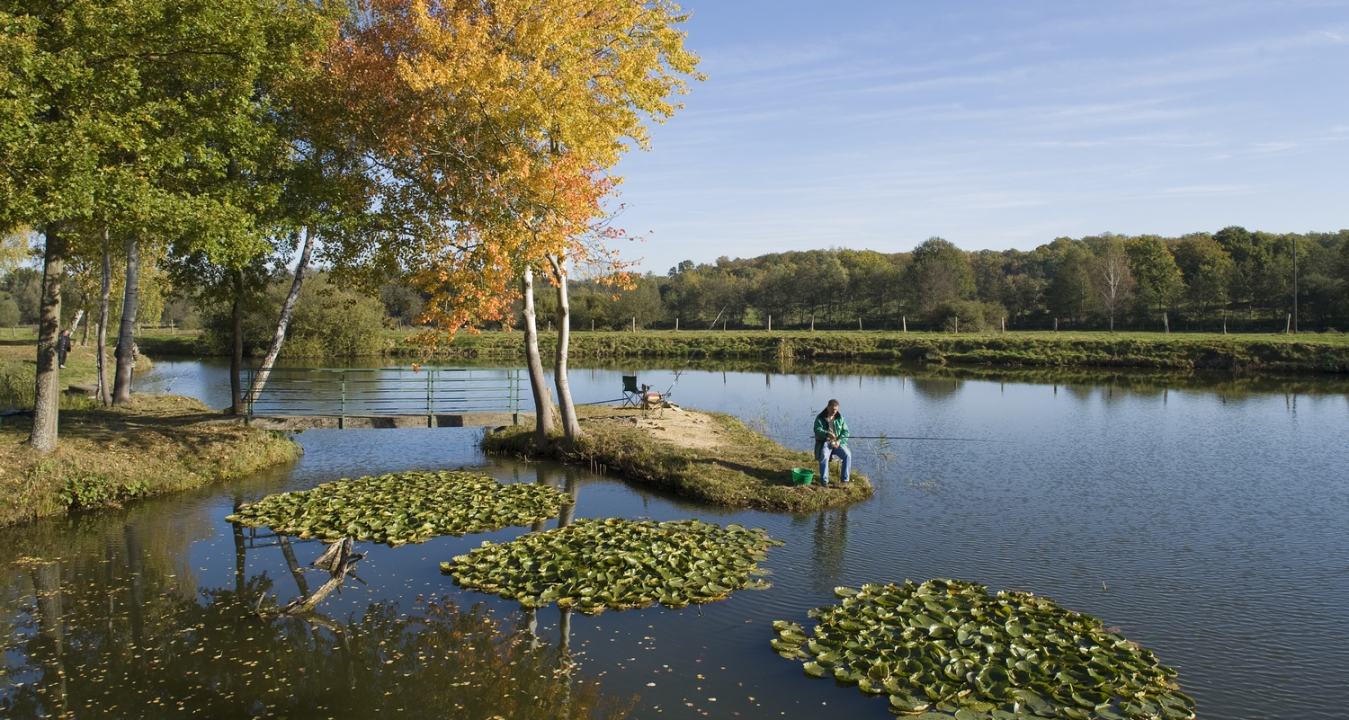 Enjoy the calm in Alsace Bossue