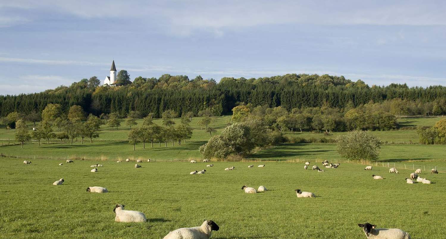 Livre de recettes "Savoureuse Alsace Bossue"