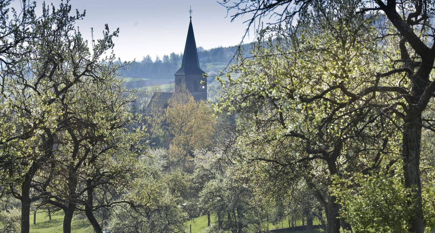 Chronique de Dehlingen