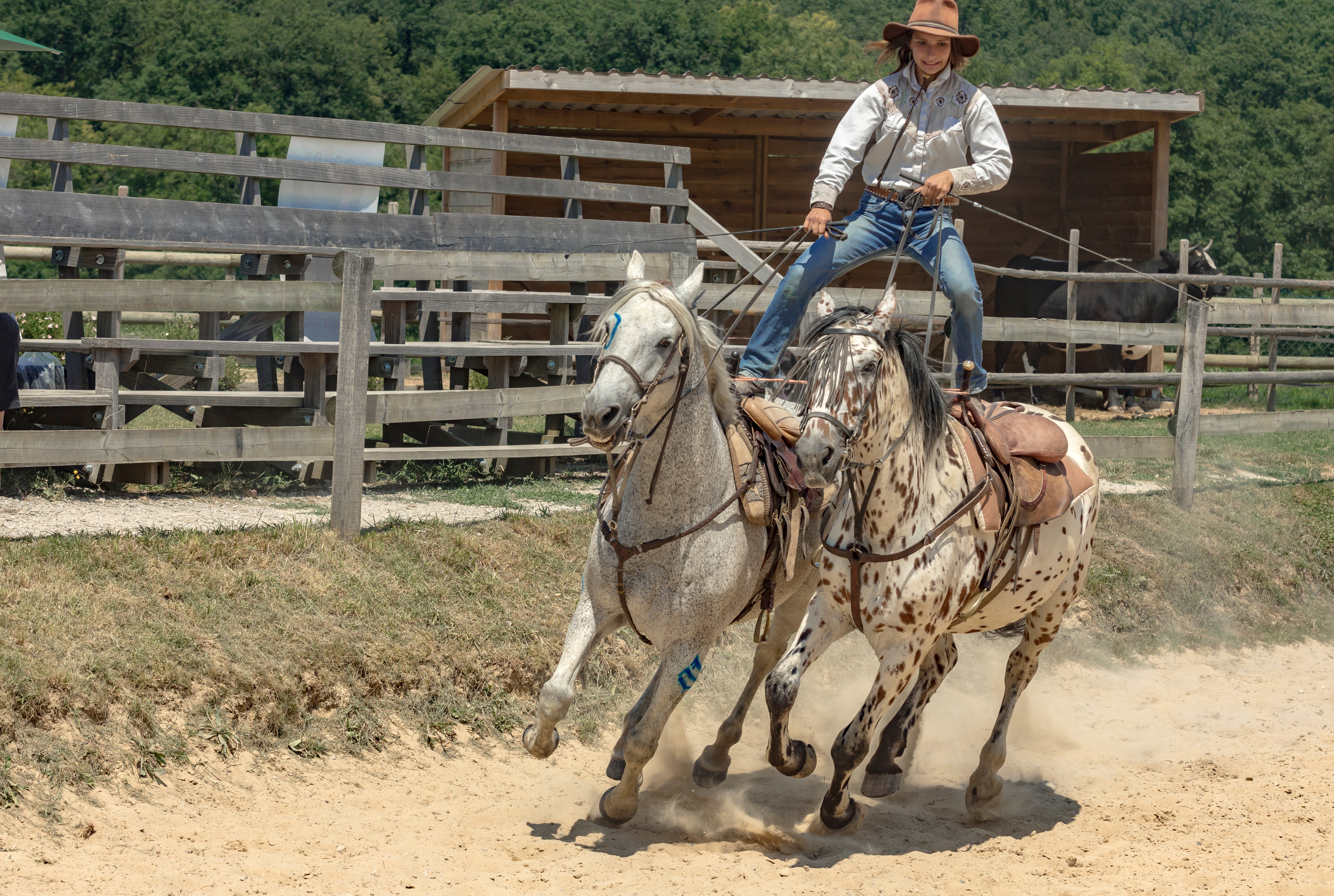 Parc nature de cheval 