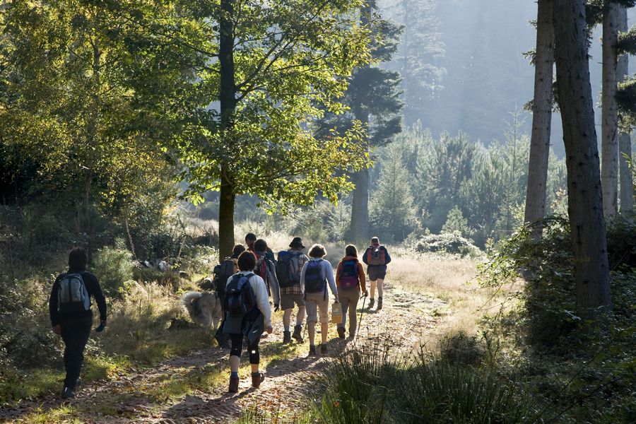 Idées de journées sur le territoire